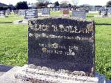 image of grave number 402196